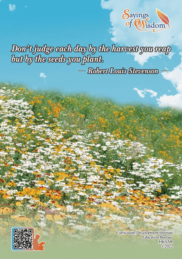 Don't judge each day by the harvest you reap but by the seeds you plant.